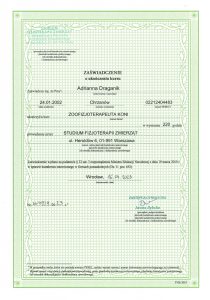 Zaświadczenie o ukończeniu kursu zoofizjoterapii koni