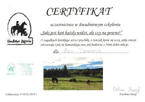 Certyfikat uczestnictwa w szkoleniu "Jaki jest koń każdy widzi, ale czy na pewno?"